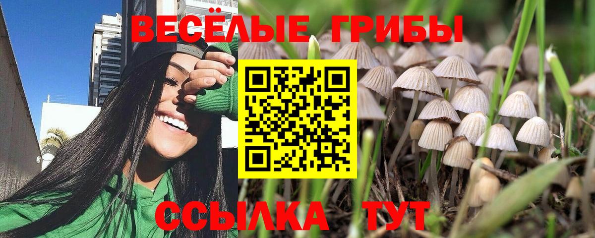 Аксай  Галлюциногенные грибы ЛСД  наркотики  Вход с VPN 